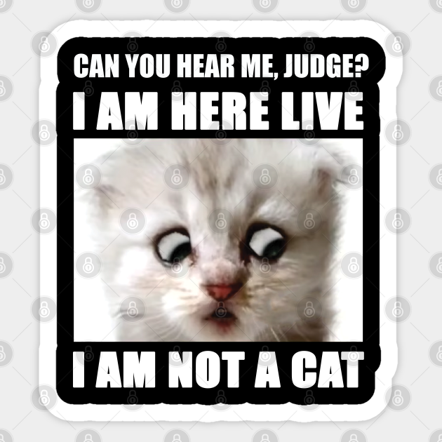 i-am-here-live-i-am-not-a-cat-i-am-not-a-cat-sticker-teepublic